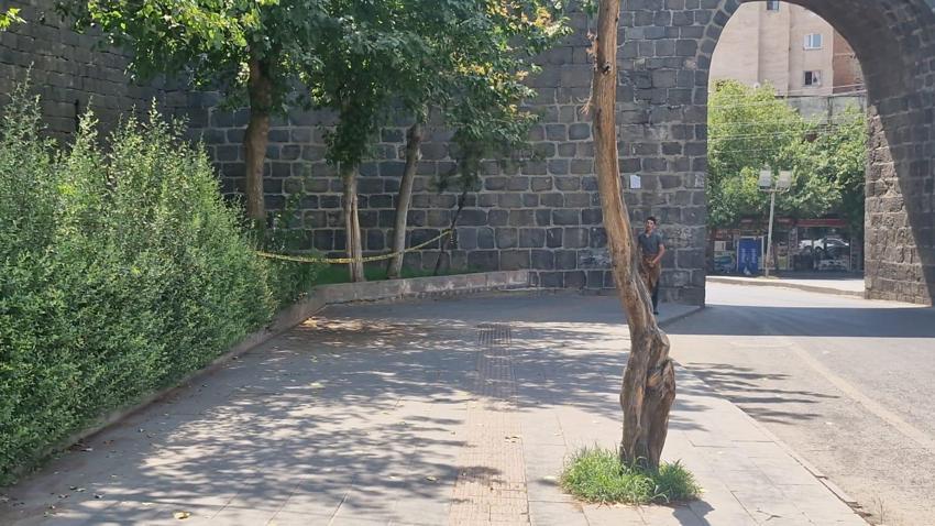 Diyarbakır'daki kadın cinayetinin kan donduran detayları: 'Sen hamilesin, sana çiçek alacağım' diyerek ölüme çağırmış