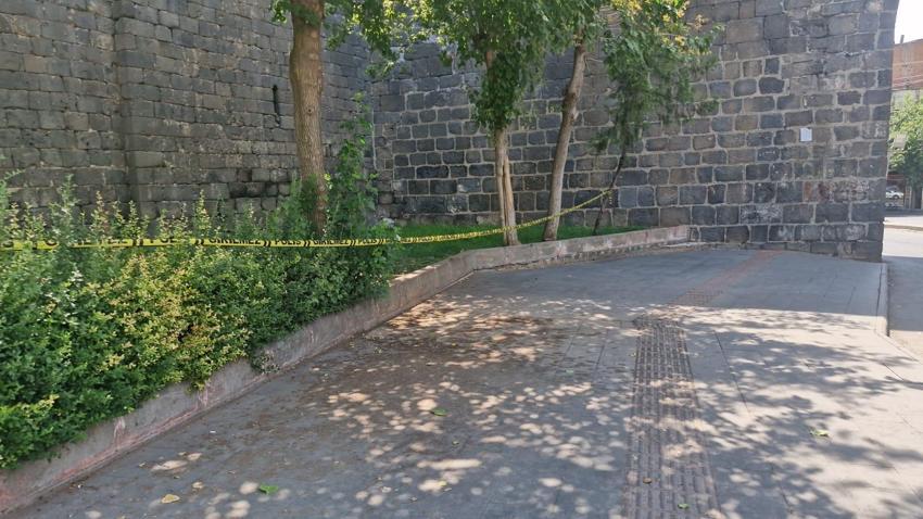 Diyarbakır'daki kadın cinayetinin kan donduran detayları: 'Sen hamilesin, sana çiçek alacağım' diyerek ölüme çağırmış