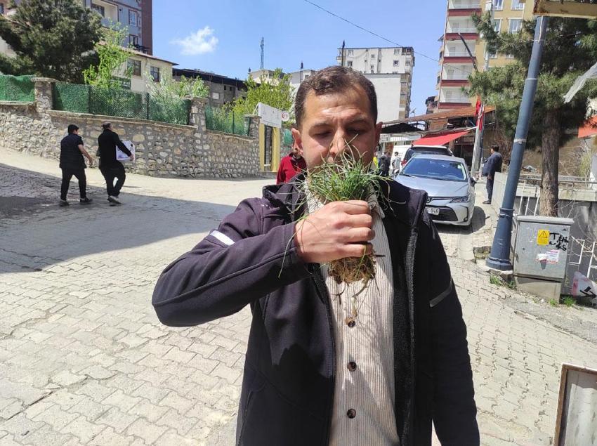 Şifalı ve lezzetli zuzubak otu Sason'da köylüler için önemli bir gelir kapısı oldu