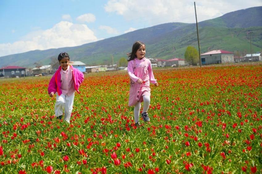 Sadece 3 hafta sürüyor! Görenler hayran kalıyor: Muşlu vatandaşlar akın akın oraya gidiyor