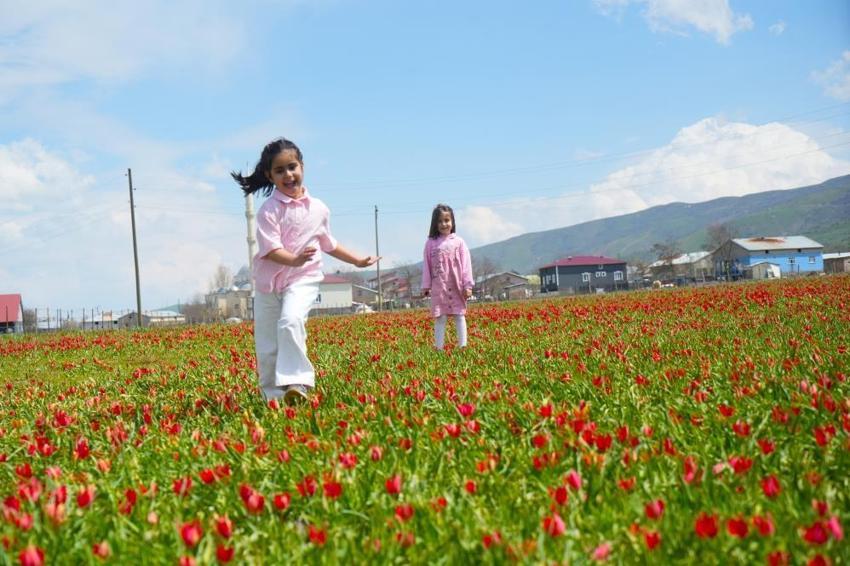 Sadece 3 hafta sürüyor! Görenler hayran kalıyor: Muşlu vatandaşlar akın akın oraya gidiyor