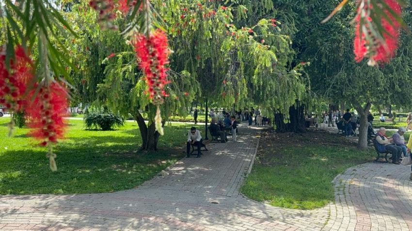 Havalar ısındı Adana yandı kavruldu! Şehirde termometreler 41 dereceyi gösterdi