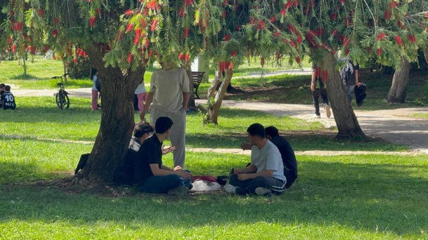Havalar ısındı Adana yandı kavruldu! Şehirde termometreler 41 dereceyi gösterdi