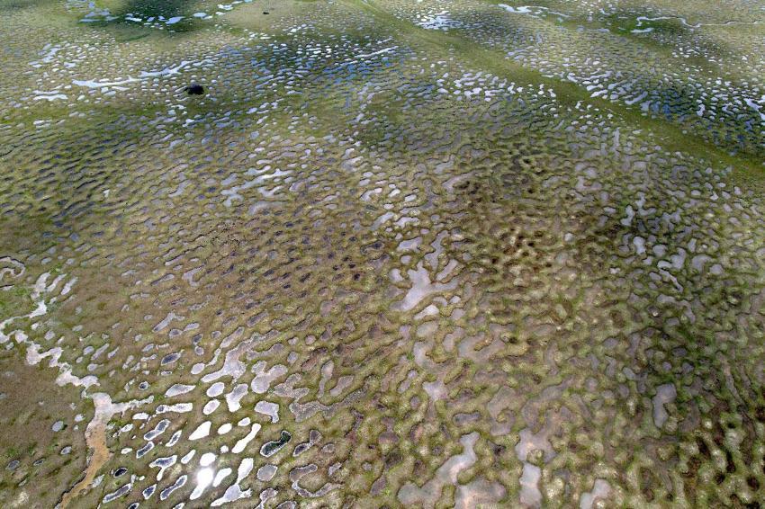 Doğanın sanata dönüştüğü nokta: Karagöl Yaylası göz kamaştırdı