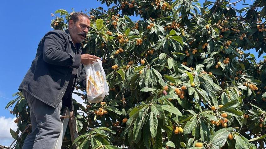 Talep azalınca bedava dağıttı! Alanya'da poşetini kapan bahçeye koştu