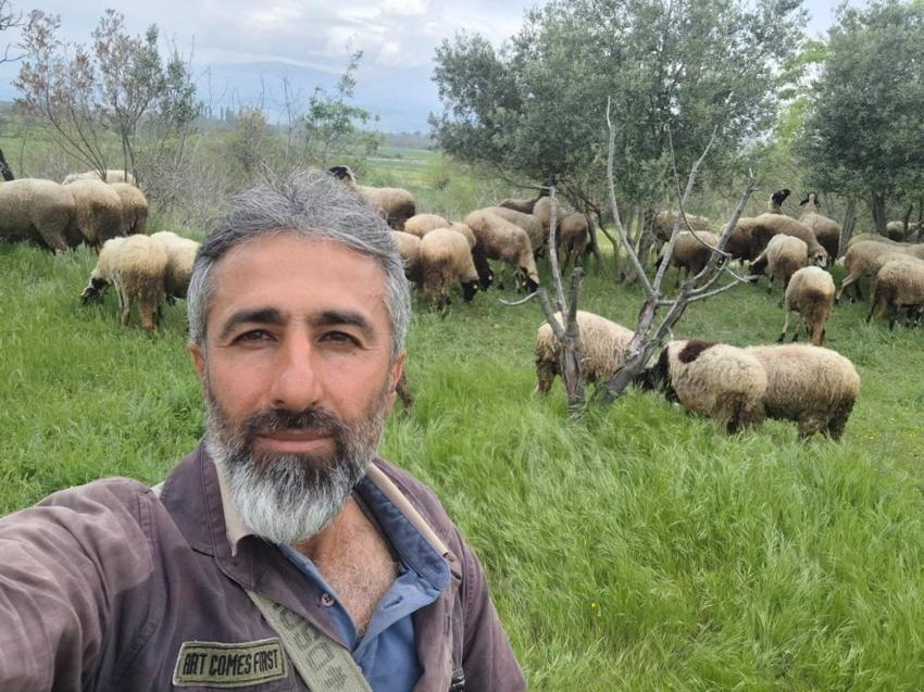 Artık koyunlar üçüz, dördüz, beşiz doğuruyor! Hayvancılık yapan dahi kardeşler verimi katladı
