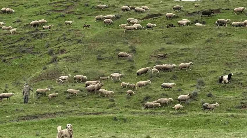 Eskişehir’de 6 bin yıllık sır: Katman katman ortaya çıkıyor
