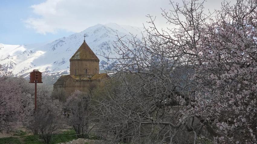 Van'ın incisinde bahar mesaisi: Akdamar Adası'nda badem çiçekleri açtı, ziyaretçi akını başladı!