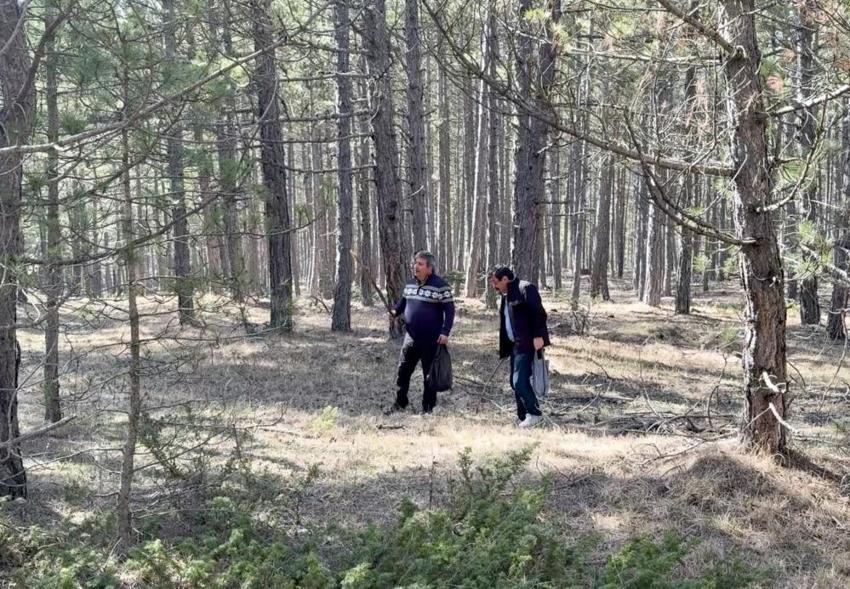 Doğru yeri bilen para basıyor! Kilosu 1.500 TL'den kapış kapış gidiyor: Vatandaşlar toplamak için akın ediyor