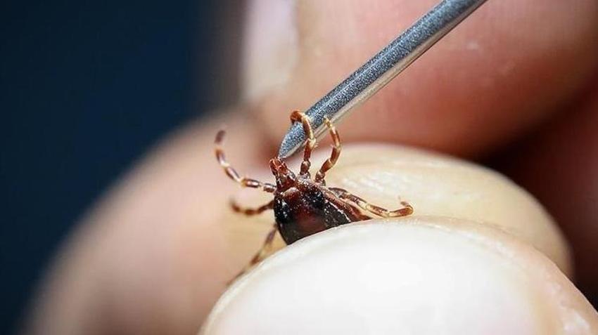 Kene kabusu geri döndü! 21 yaşındaki genç hayatını kaybetti