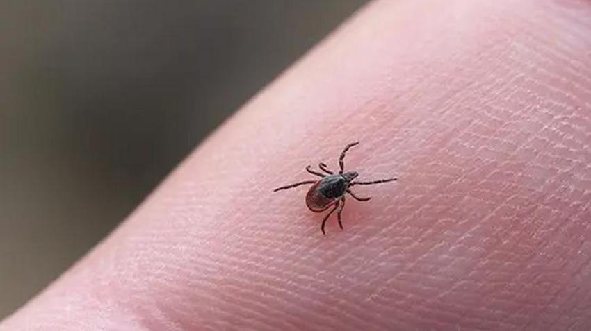 Kene kabusu geri döndü! 21 yaşındaki genç hayatını kaybetti