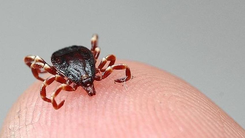 Kene kabusu geri döndü! 21 yaşındaki genç hayatını kaybetti
