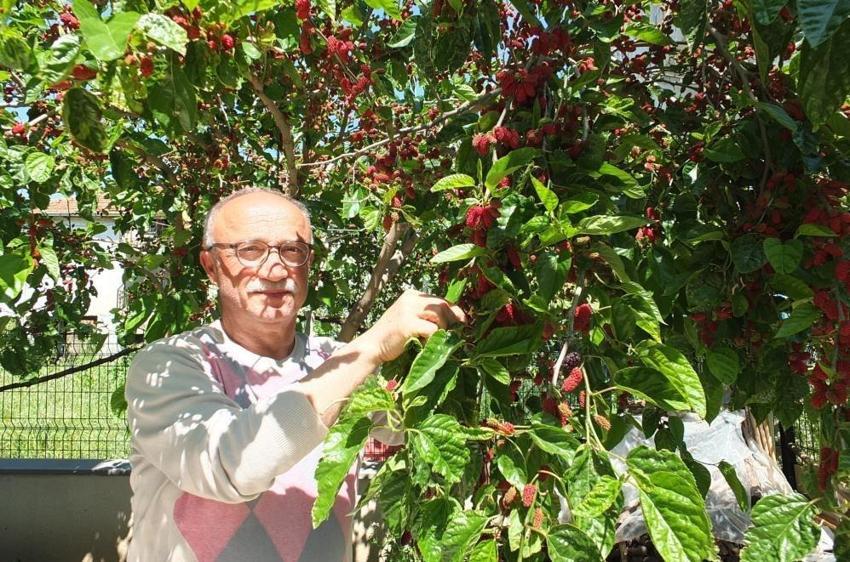 Balıkesir'in bahçelerinde yetişti: Anne ve babaları bu yıl erken sevindirdi!