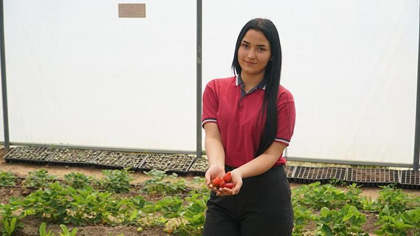 Çorum'da lise öğrencileri okulun bahçesini üretim üssüne çevirdiler! Gençler kuşkonmazla alternatif tarım öğreniyorlar