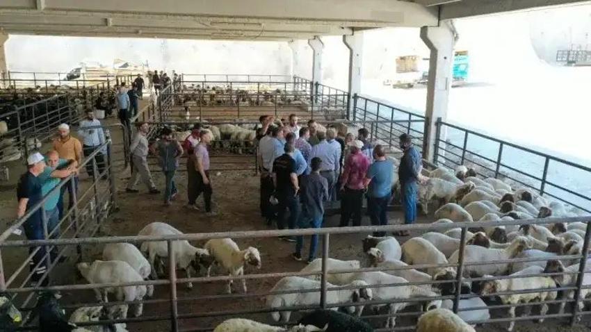 Gaziantep'te kurban nerelerde kesilecek! İşte kurban kesim yerleri listesi