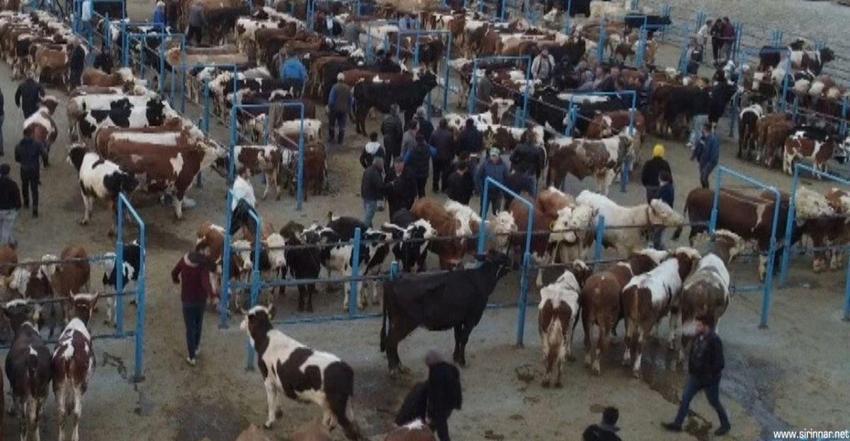 Gaziantep'te kurban nerelerde kesilecek! İşte kurban kesim yerleri listesi