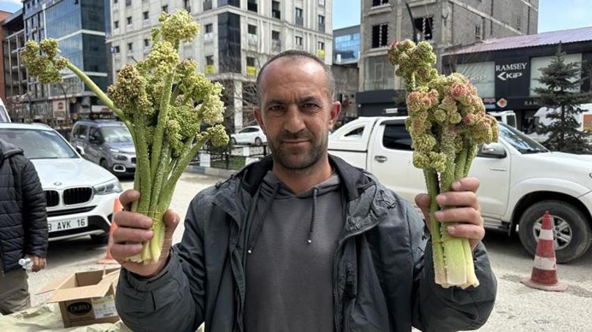 Hakkari'nin dağlarında kendiliğinden yetişiyor! Fiyatı 150 lira: Görenler poşet poşet alıyor