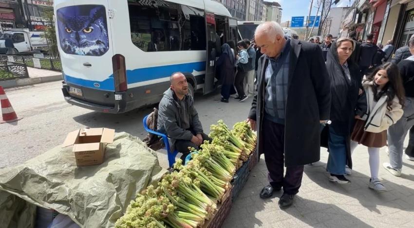 Hakkari'nin dağlarında kendiliğinden yetişiyor! Fiyatı 150 lira: Görenler poşet poşet alıyor