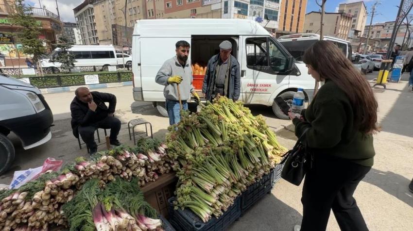 Hakkari'nin dağlarında kendiliğinden yetişiyor! Fiyatı 150 lira: Görenler poşet poşet alıyor