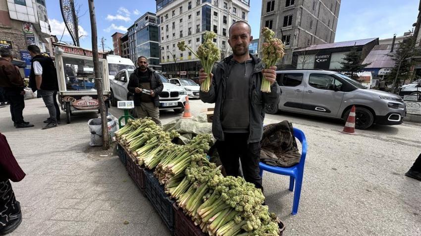 Hakkari'nin dağlarında kendiliğinden yetişiyor! Fiyatı 150 lira: Görenler poşet poşet alıyor