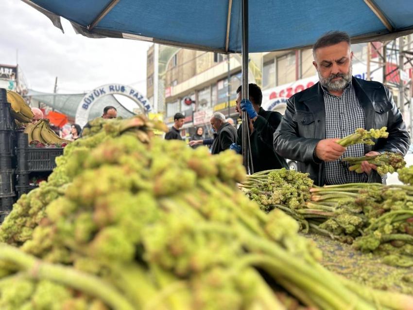 Van'ın çarşı pazarında tezgahlar yayla muzu ile renklendi: İthal muzdan daha pahalı