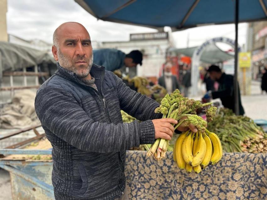 Van'ın çarşı pazarında tezgahlar yayla muzu ile renklendi: İthal muzdan daha pahalı