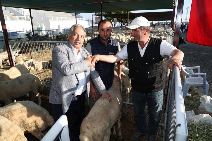 Kayseri'de kurban öncesi son tarih belli oldu! Talas için başvurular başladı