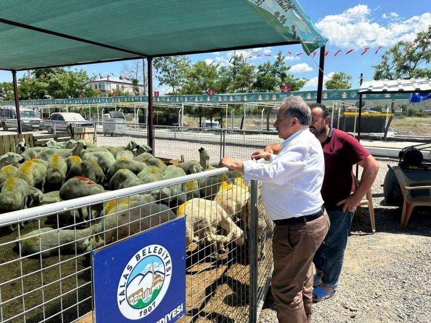 Kayseri'de kurban öncesi son tarih belli oldu! Talas için başvurular başladı