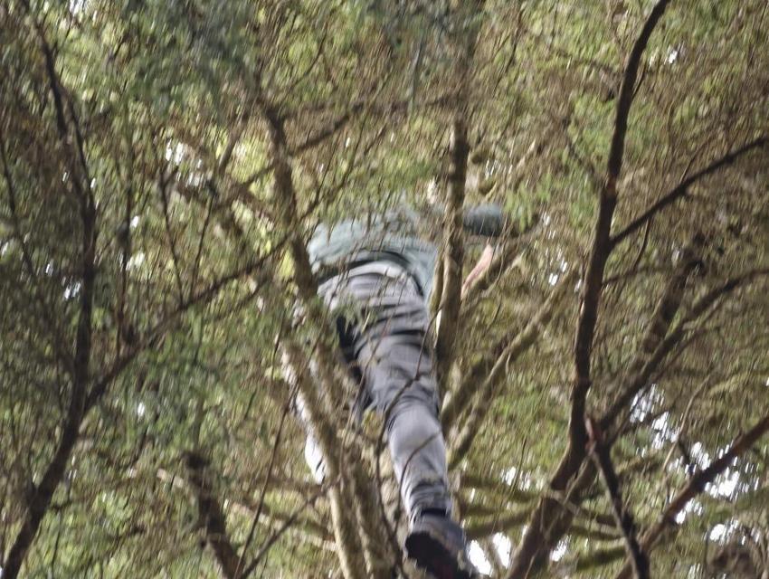 Artvin'de 40 metre yüksekte sorunu çözdüler!
