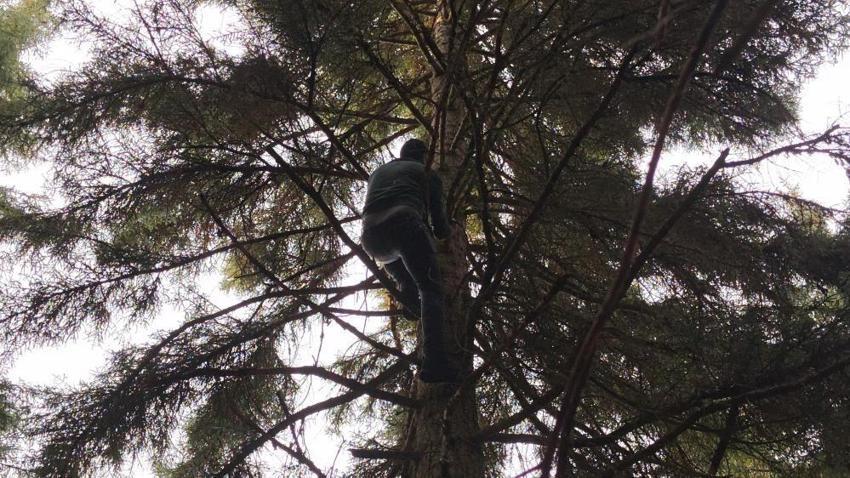 Artvin'de 40 metre yüksekte sorunu çözdüler!
