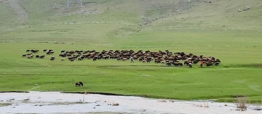 Ağrı'da iki mevsim bir arada! Şehirde kısa mesafede yaşanan iklim farkı şaşırtıyor
