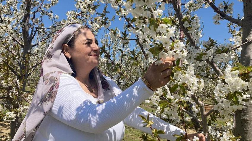Afyonkarahisar’da beşinci 'Kiraz Çiçeği Fotoğraf Etkinliği' görsel şölen oluşturdu