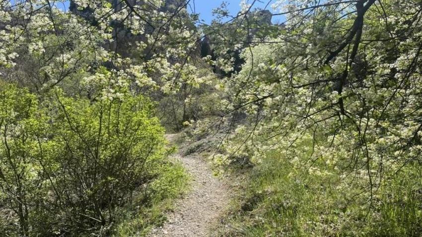 Bu patika yol saklı cennete çıkıyor! Çorum'a 30 kilometre uzakta yer alıyor
