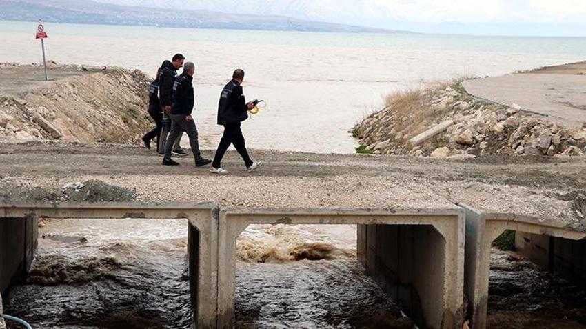 İnci Kefalinin mucizevi göçü başladı: Van'da ekipler teyakkuzda: Popülasyonda büyük artış!