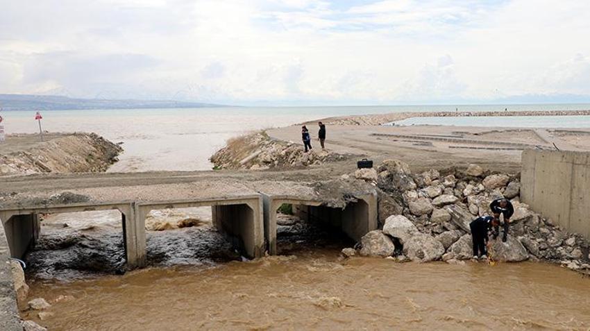 İnci Kefalinin mucizevi göçü başladı: Van'da ekipler teyakkuzda: Popülasyonda büyük artış!
