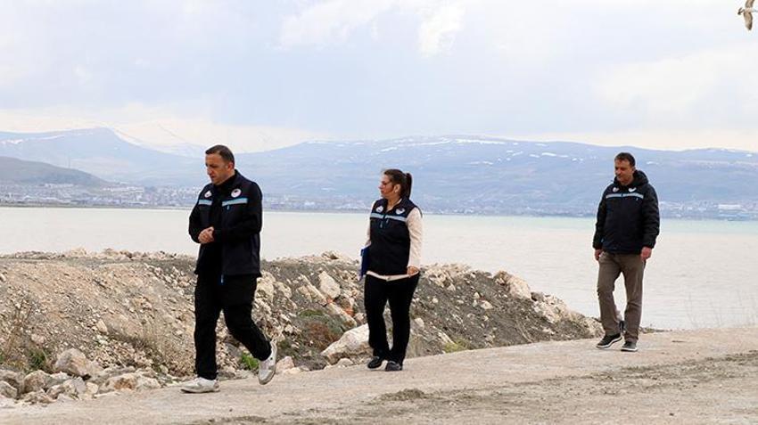 İnci Kefalinin mucizevi göçü başladı: Van'da ekipler teyakkuzda: Popülasyonda büyük artış!