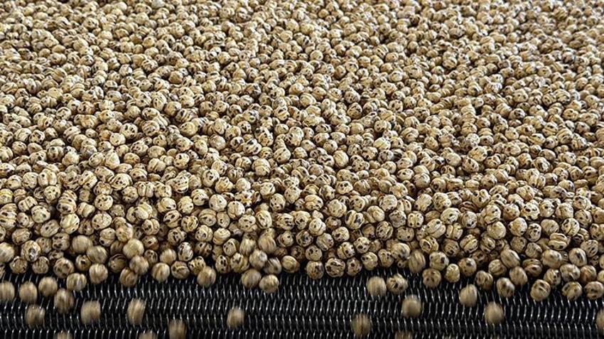 Tavşanlı'da dedesinden kalan mirası devralarak dev üretim merkezine dönüştürdü! 86 kişiyle Orta Doğu ve Avrupa'ya ihracat yapıyor