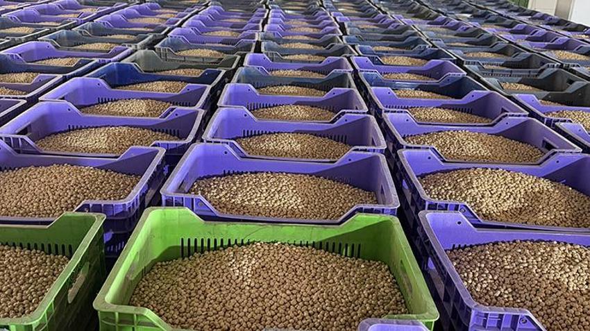 Tavşanlı'da dedesinden kalan mirası devralarak dev üretim merkezine dönüştürdü! 86 kişiyle Orta Doğu ve Avrupa'ya ihracat yapıyor