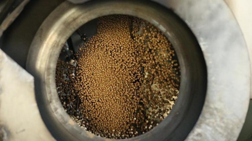 Tavşanlı'da dedesinden kalan mirası devralarak dev üretim merkezine dönüştürdü! 86 kişiyle Orta Doğu ve Avrupa'ya ihracat yapıyor
