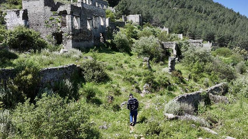 Doğada tesadüfen gördü, ismi dünya literatürüne geçti: Emekli eczacının keşfettiği 5 tür dünyayı şaşırttı