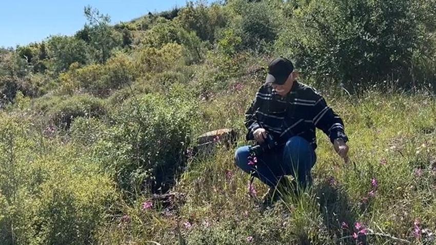 Doğada tesadüfen gördü, ismi dünya literatürüne geçti: Emekli eczacının keşfettiği 5 tür dünyayı şaşırttı