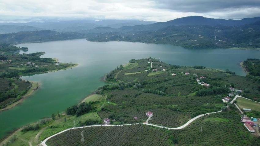 Samsun'un su ihtiyacı kalmadı! İşte barajların doluluk oranları