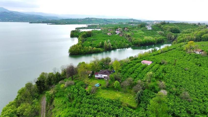 Samsun'un su ihtiyacı kalmadı! İşte barajların doluluk oranları