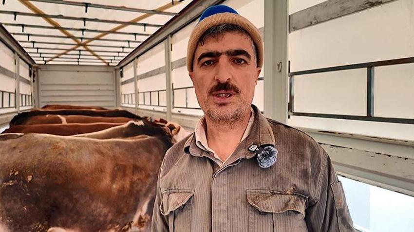 Erciş'in kurbanlıkları barı illerine doğru yola çıkmaya başladı