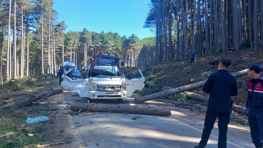 Bursa'da göz göre göre gelen ölüm! Kesilen ağaç yoldan geçen kamyonetin üstüne devrildi