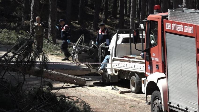 Bursa'da göz göre göre gelen ölüm! Kesilen ağaç yoldan geçen kamyonetin üstüne devrildi