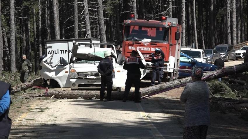Bursa'da göz göre göre gelen ölüm! Kesilen ağaç yoldan geçen kamyonetin üstüne devrildi