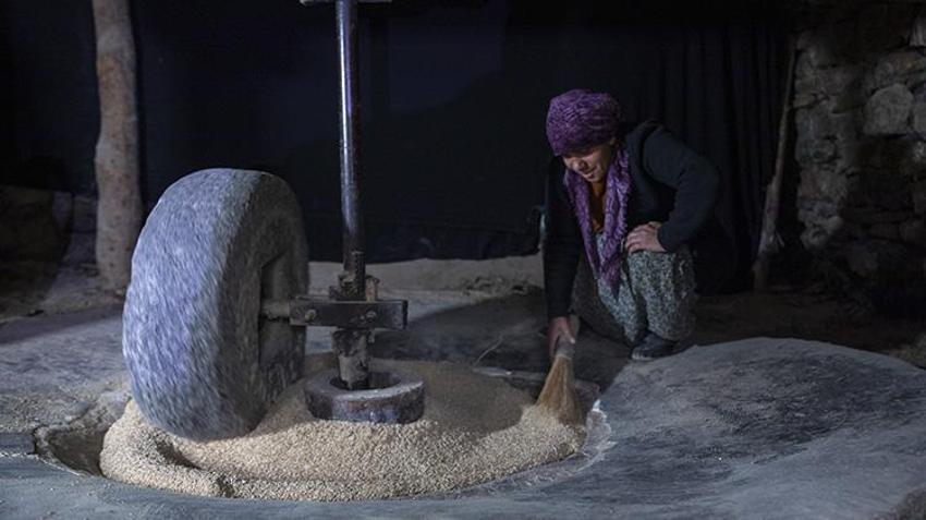 Bitlis’te 2 asırlık tarihi değirmeni teknolojiye meydan okuyor: Geçen yıl kuraklık vurmuştu, bu yıl su bol! Türkiye’nin dört bir yanından sipariş yağıyor