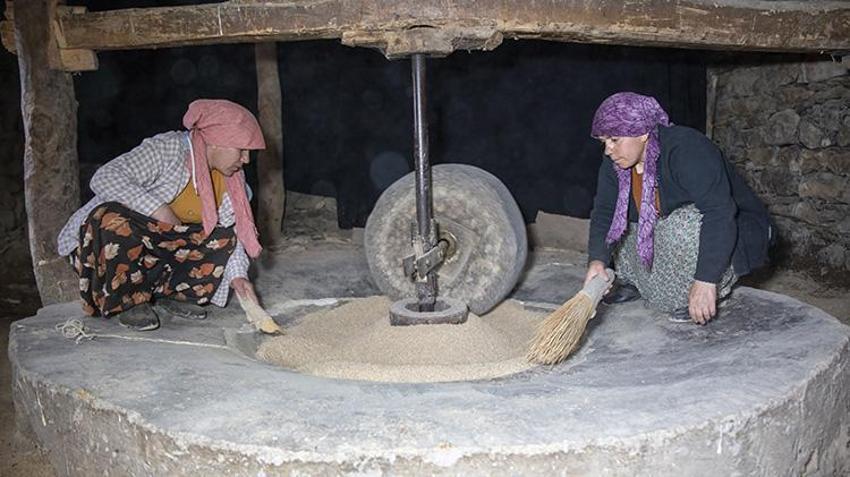 Bitlis’te 2 asırlık tarihi değirmeni teknolojiye meydan okuyor: Geçen yıl kuraklık vurmuştu, bu yıl su bol! Türkiye’nin dört bir yanından sipariş yağıyor