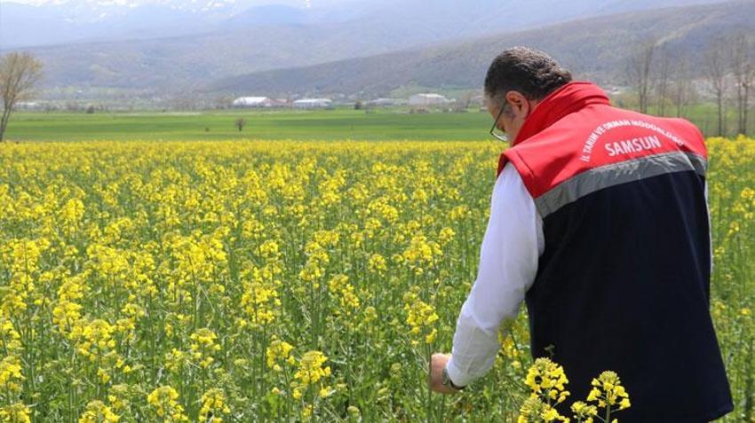 TAKE Projesi kapsamında çiftçilere büyük destek! Ayçiçeği ve kuru fasulye tohumları teslim edildi